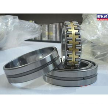 Spherical Roller Bearing 23040c